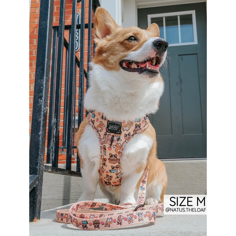 Sassy Woof Corgilicious Large Dog Harness - Picture 12 of 16